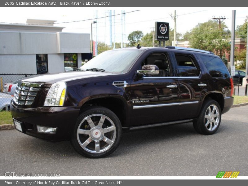 Black Raven / Ebony/Ebony 2009 Cadillac Escalade AWD