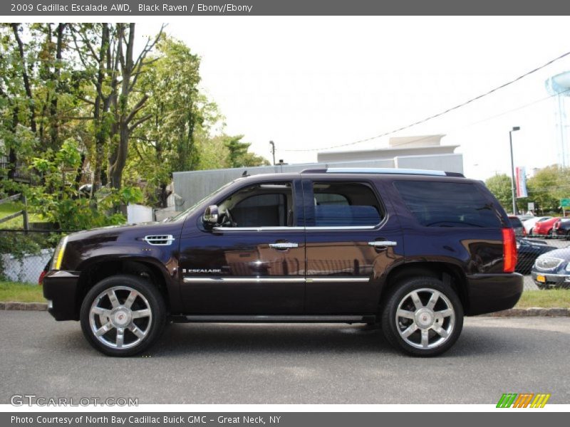Black Raven / Ebony/Ebony 2009 Cadillac Escalade AWD