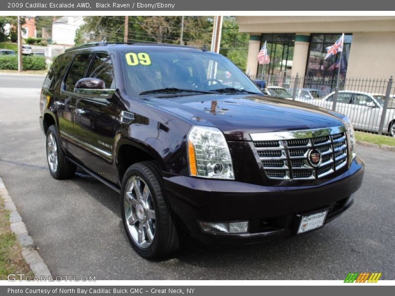 Black Raven / Ebony/Ebony 2009 Cadillac Escalade AWD