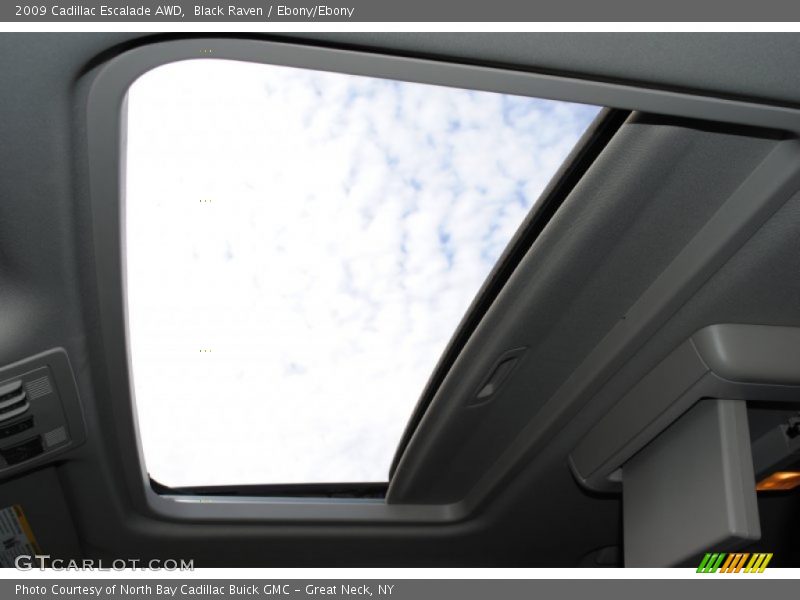 Black Raven / Ebony/Ebony 2009 Cadillac Escalade AWD
