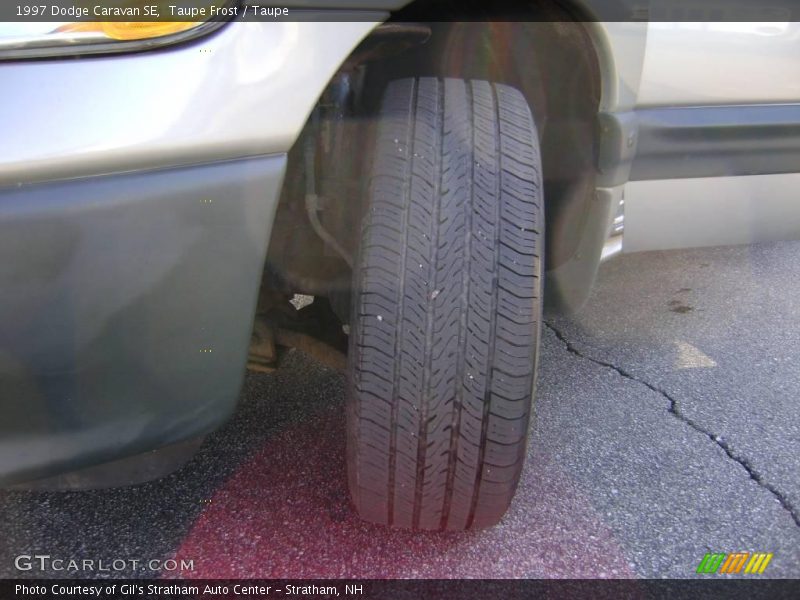 Taupe Frost / Taupe 1997 Dodge Caravan SE
