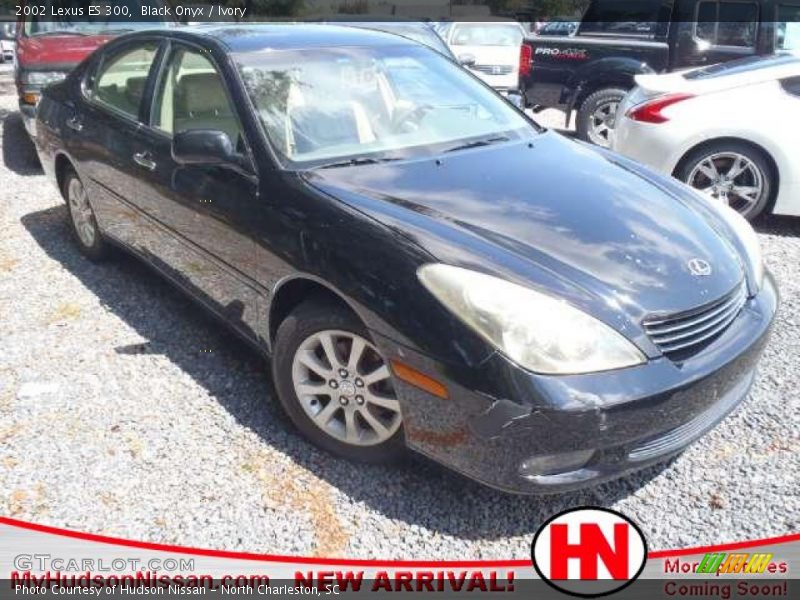 Black Onyx / Ivory 2002 Lexus ES 300