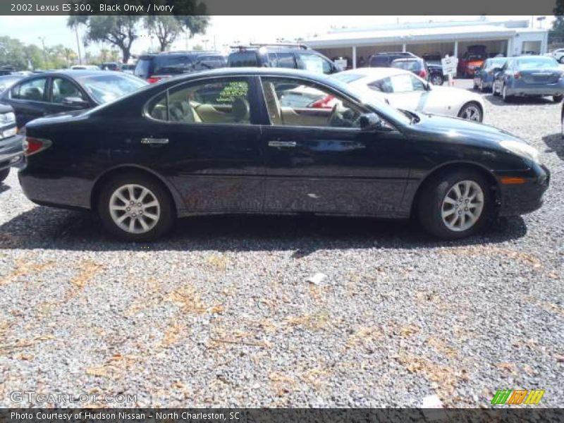 Black Onyx / Ivory 2002 Lexus ES 300