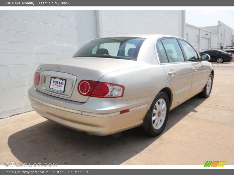 Cream Gold / Black 2004 Kia Amanti