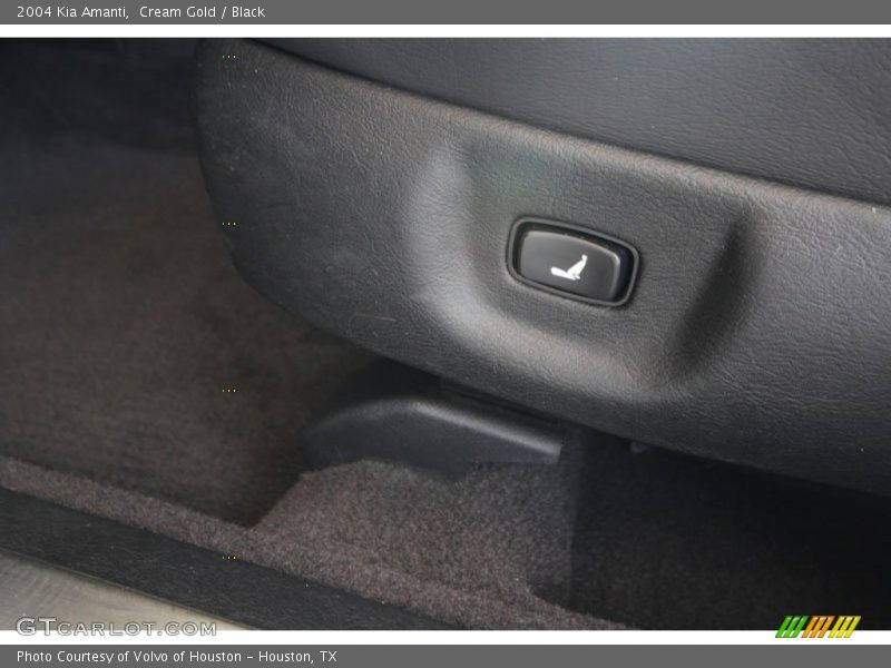 Cream Gold / Black 2004 Kia Amanti