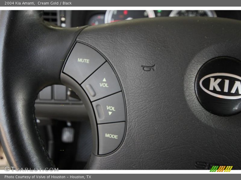 Cream Gold / Black 2004 Kia Amanti