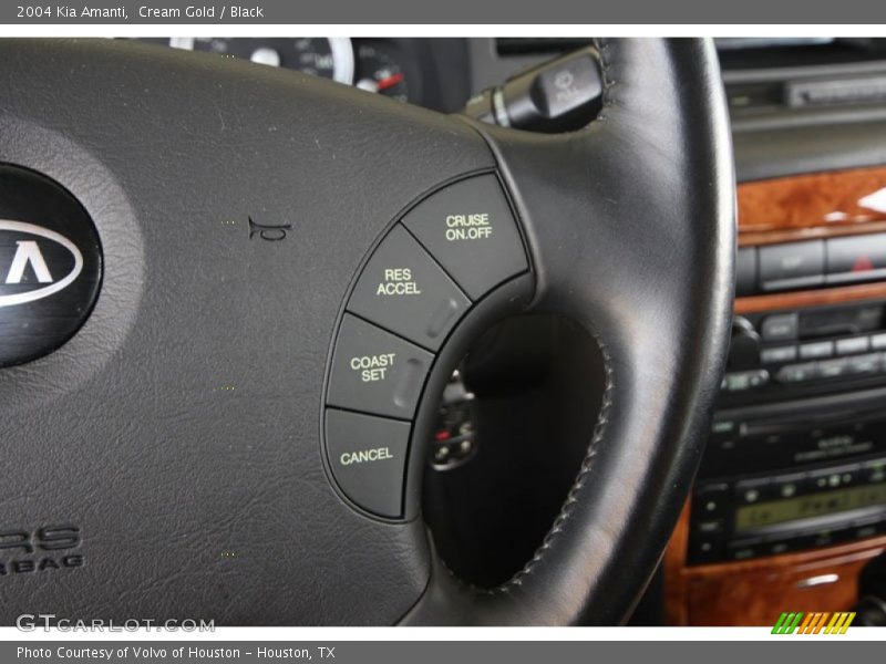 Cream Gold / Black 2004 Kia Amanti