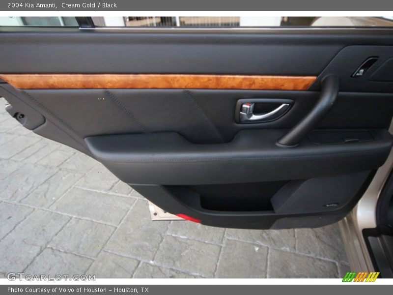 Cream Gold / Black 2004 Kia Amanti