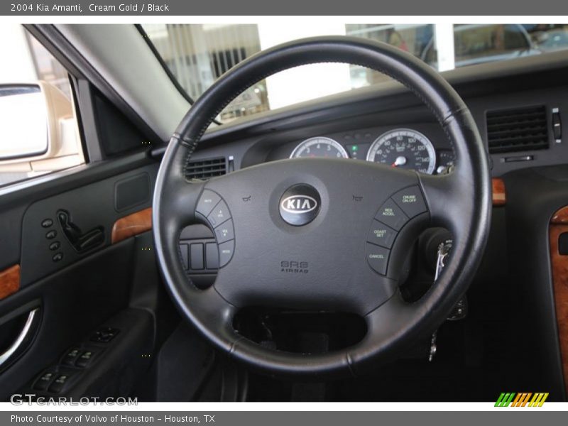 Cream Gold / Black 2004 Kia Amanti