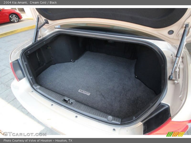Cream Gold / Black 2004 Kia Amanti