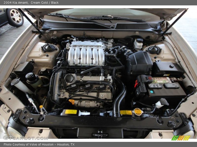 Cream Gold / Black 2004 Kia Amanti
