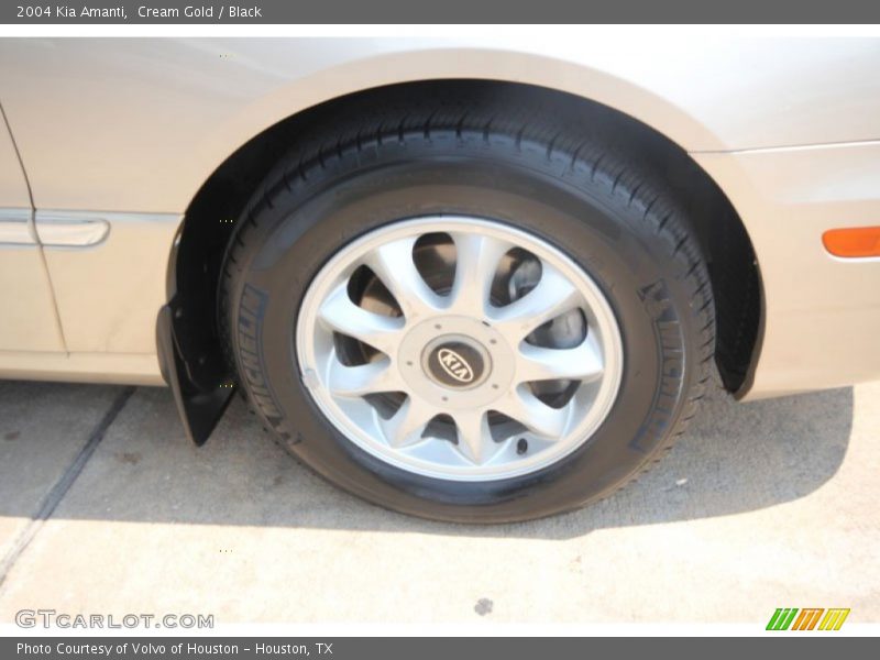 Cream Gold / Black 2004 Kia Amanti