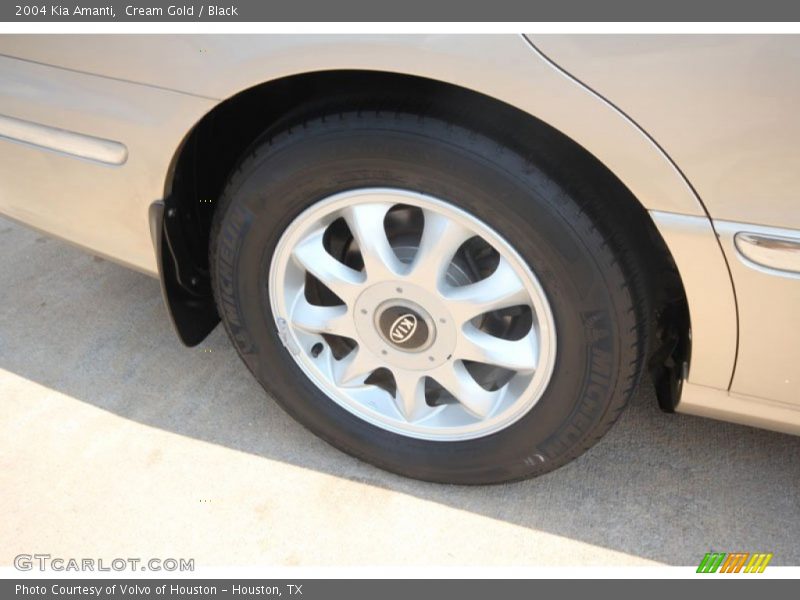 Cream Gold / Black 2004 Kia Amanti