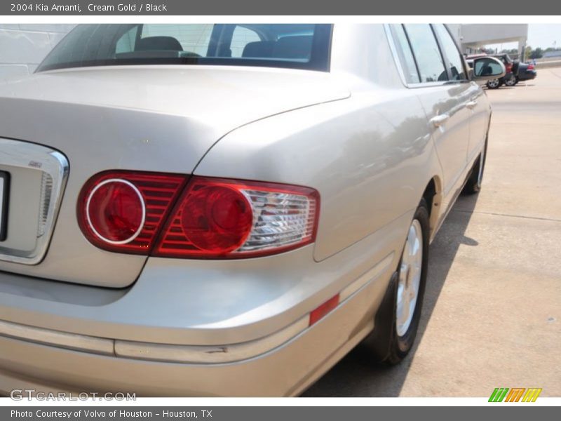 Cream Gold / Black 2004 Kia Amanti