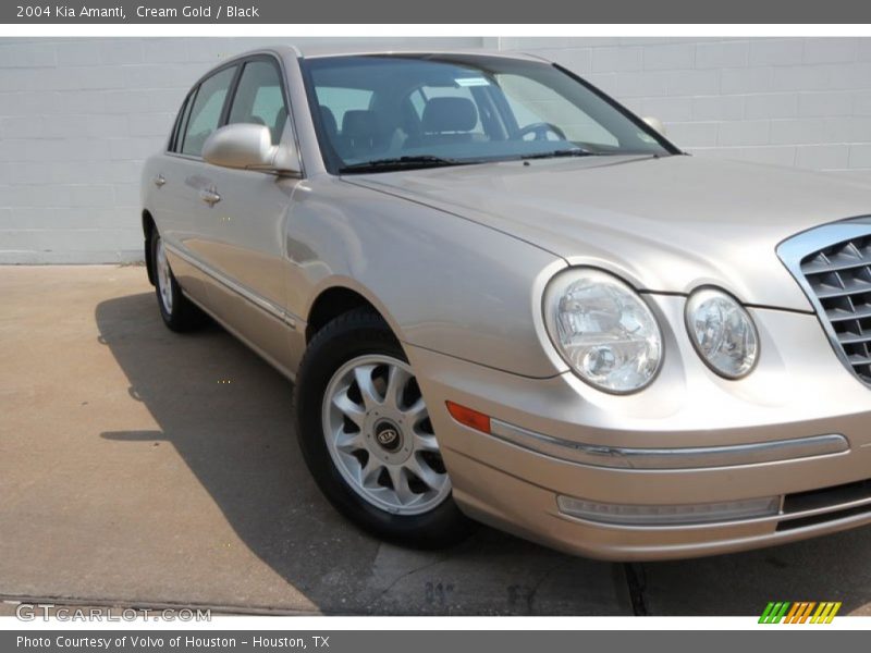Cream Gold / Black 2004 Kia Amanti