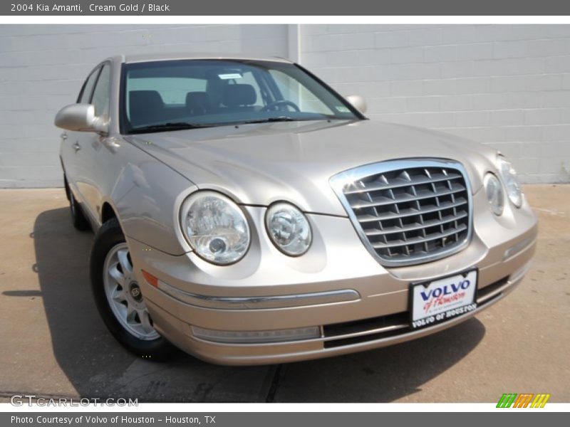 Cream Gold / Black 2004 Kia Amanti