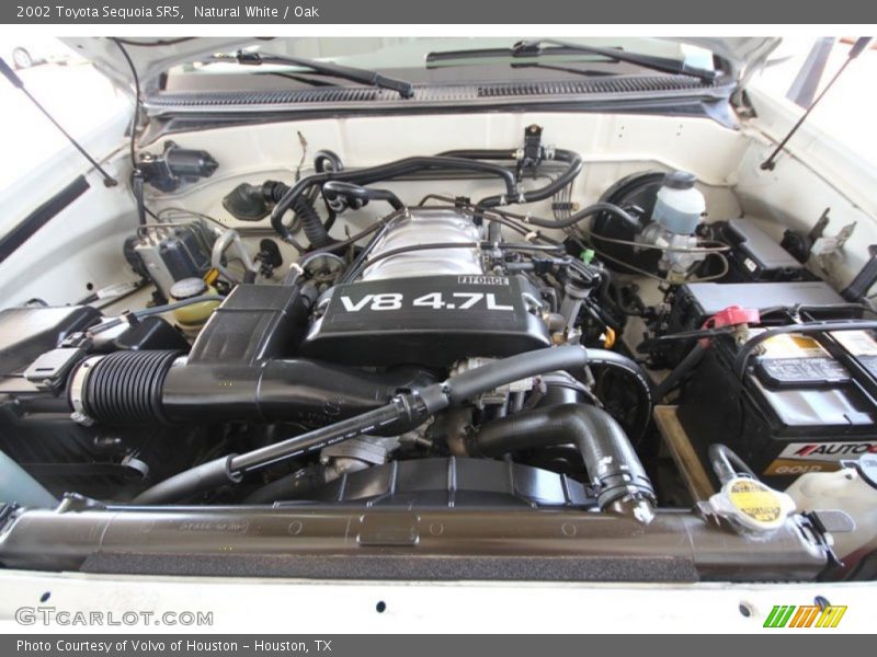 Natural White / Oak 2002 Toyota Sequoia SR5