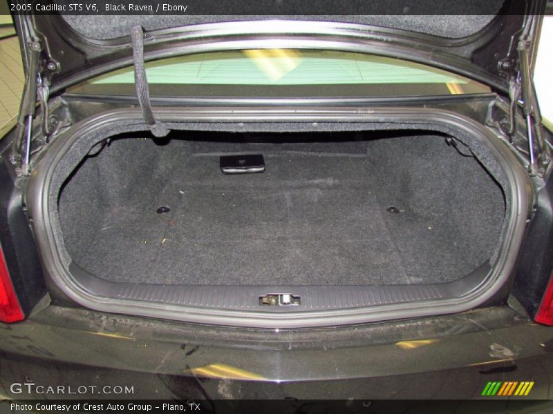 Black Raven / Ebony 2005 Cadillac STS V6