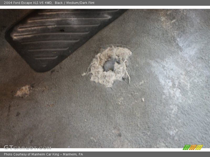 Black / Medium/Dark Flint 2004 Ford Escape XLS V6 4WD