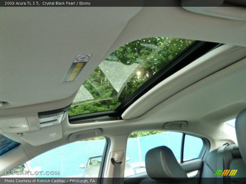 Crystal Black Pearl / Ebony 2009 Acura TL 3.5