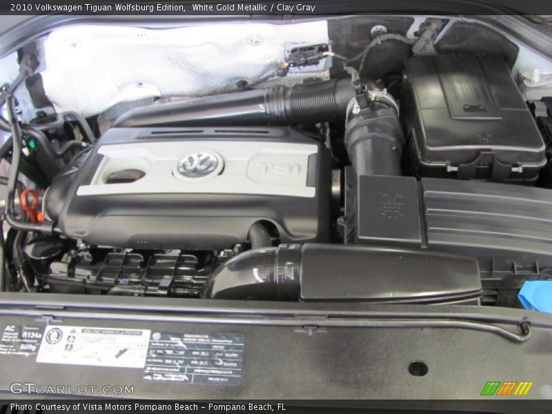 White Gold Metallic / Clay Gray 2010 Volkswagen Tiguan Wolfsburg Edition