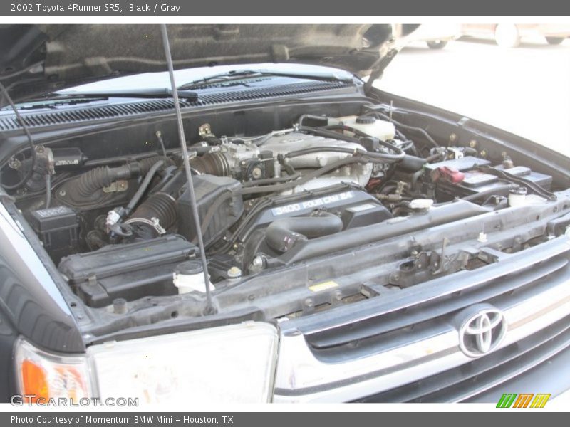 Black / Gray 2002 Toyota 4Runner SR5