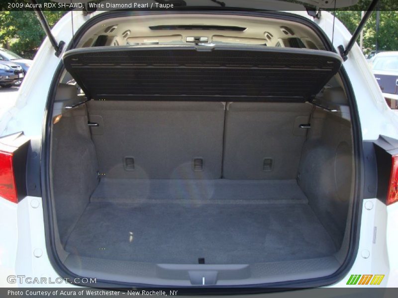 White Diamond Pearl / Taupe 2009 Acura RDX SH-AWD