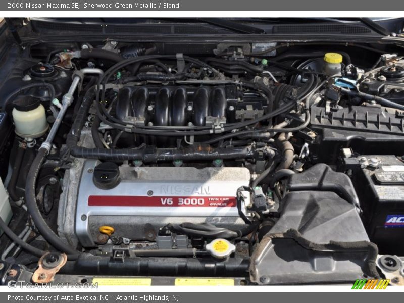 Sherwood Green Metallic / Blond 2000 Nissan Maxima SE