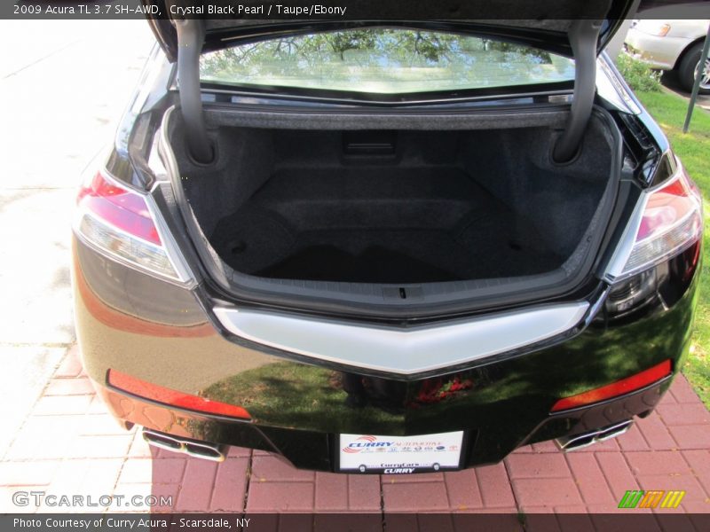 Crystal Black Pearl / Taupe/Ebony 2009 Acura TL 3.7 SH-AWD