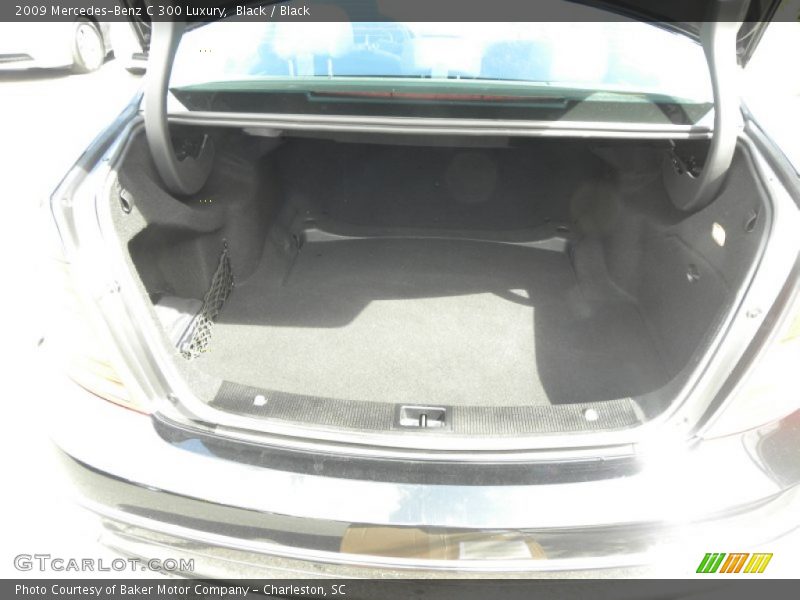 Black / Black 2009 Mercedes-Benz C 300 Luxury