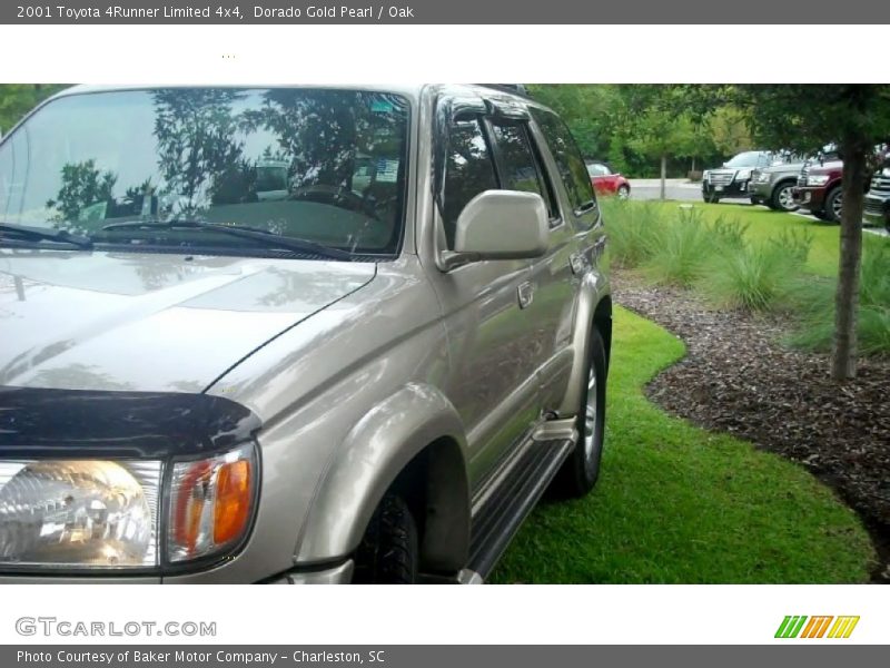Dorado Gold Pearl / Oak 2001 Toyota 4Runner Limited 4x4