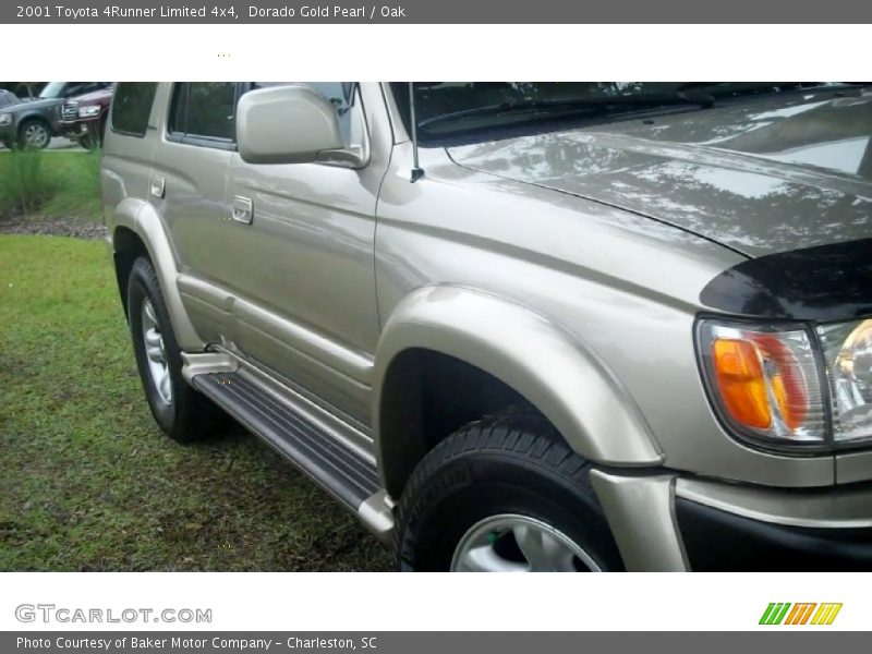 Dorado Gold Pearl / Oak 2001 Toyota 4Runner Limited 4x4