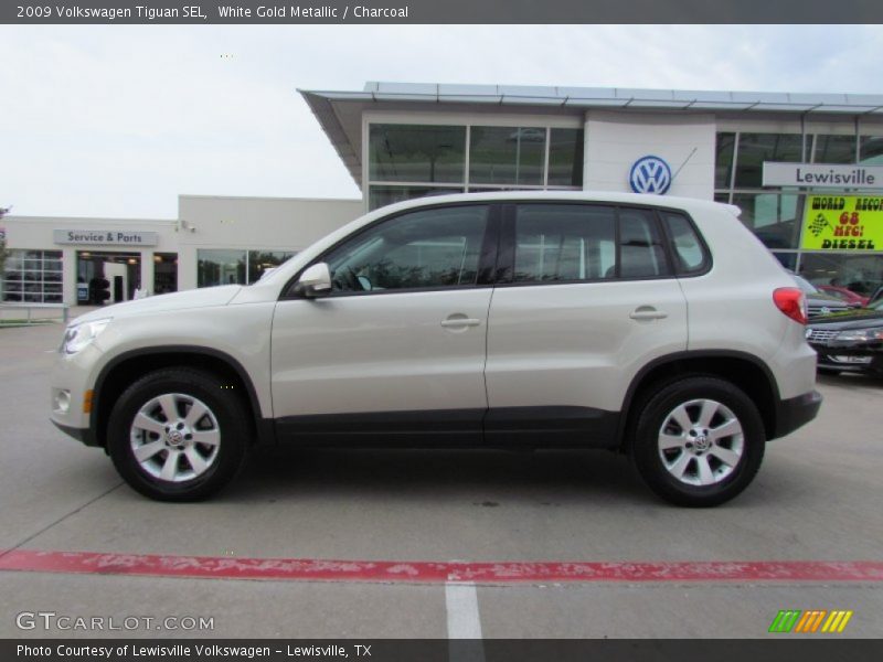 White Gold Metallic / Charcoal 2009 Volkswagen Tiguan SEL
