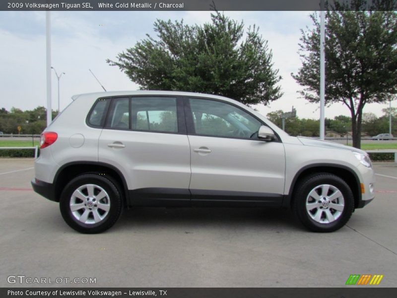 White Gold Metallic / Charcoal 2009 Volkswagen Tiguan SEL