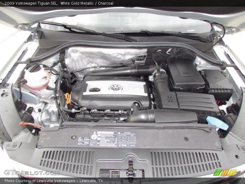 White Gold Metallic / Charcoal 2009 Volkswagen Tiguan SEL