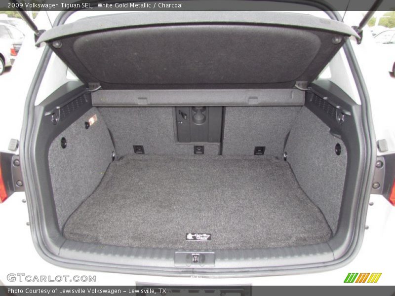 White Gold Metallic / Charcoal 2009 Volkswagen Tiguan SEL