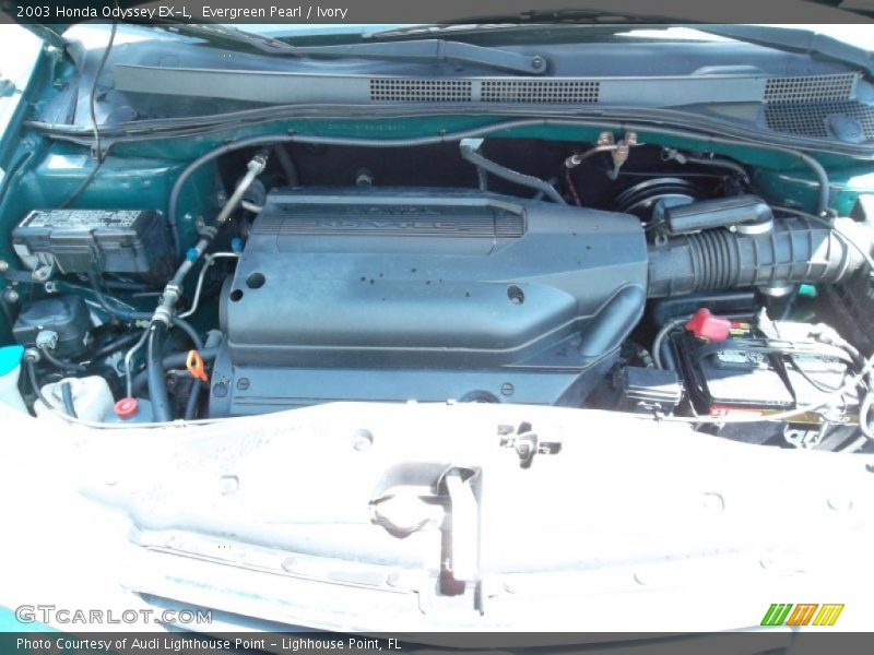 Evergreen Pearl / Ivory 2003 Honda Odyssey EX-L