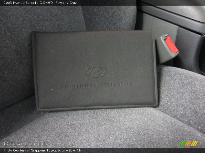 Pewter / Gray 2003 Hyundai Santa Fe GLS 4WD