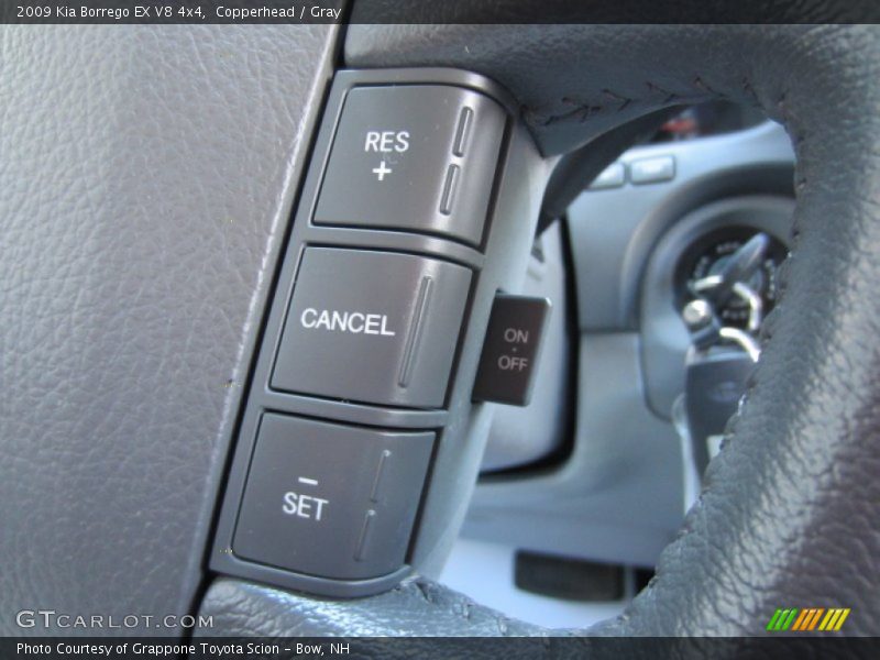 Copperhead / Gray 2009 Kia Borrego EX V8 4x4