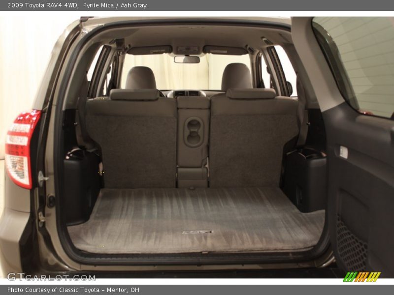 Pyrite Mica / Ash Gray 2009 Toyota RAV4 4WD