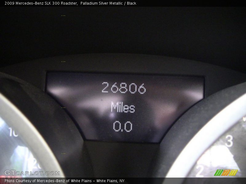 Palladium Silver Metallic / Black 2009 Mercedes-Benz SLK 300 Roadster