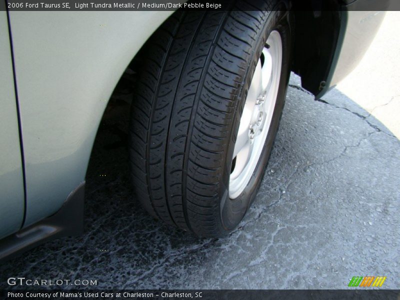 Light Tundra Metallic / Medium/Dark Pebble Beige 2006 Ford Taurus SE
