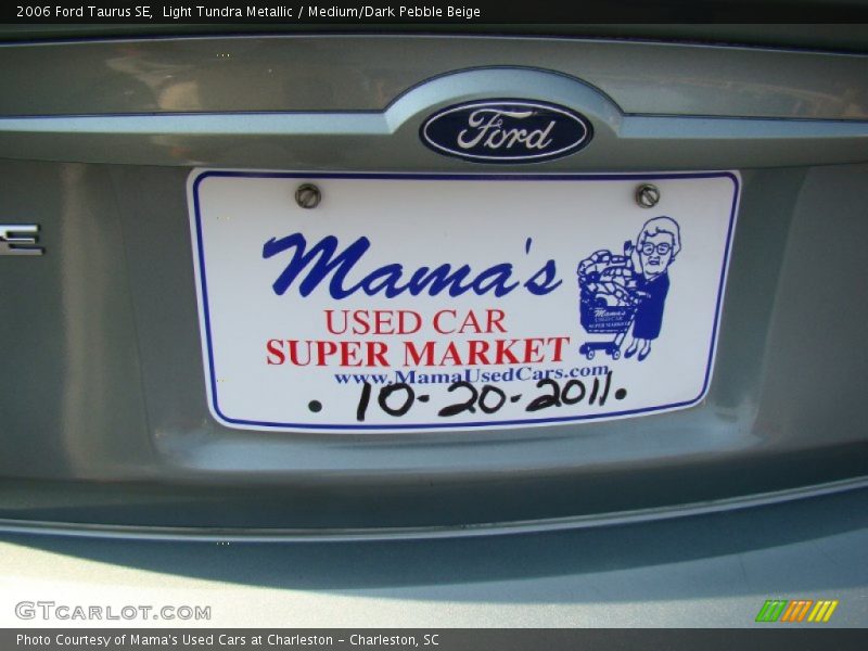 Light Tundra Metallic / Medium/Dark Pebble Beige 2006 Ford Taurus SE