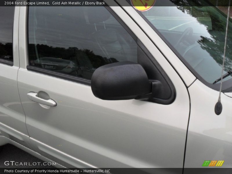 Gold Ash Metallic / Ebony Black 2004 Ford Escape Limited