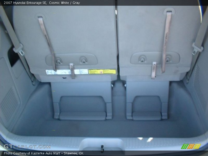 Cosmic White / Gray 2007 Hyundai Entourage SE