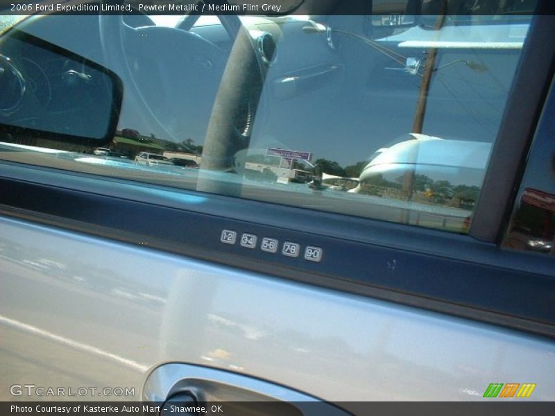 Pewter Metallic / Medium Flint Grey 2006 Ford Expedition Limited