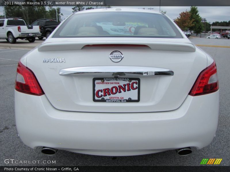 Winter Frost White / Charcoal 2011 Nissan Maxima 3.5 SV