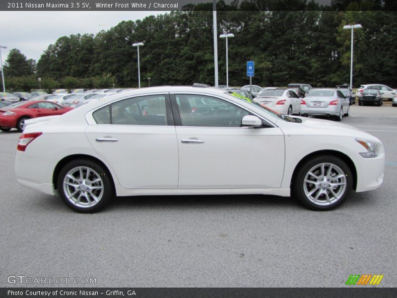 Winter Frost White / Charcoal 2011 Nissan Maxima 3.5 SV