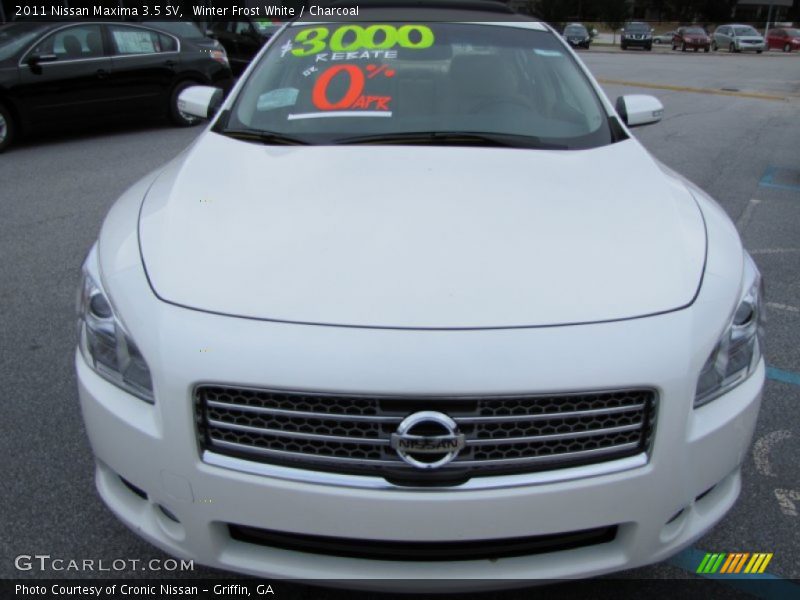 Winter Frost White / Charcoal 2011 Nissan Maxima 3.5 SV