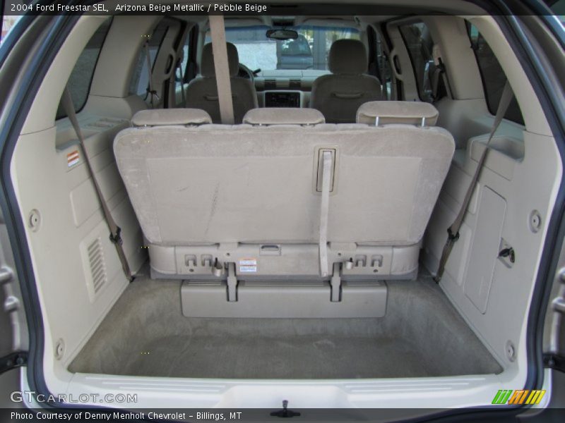 Arizona Beige Metallic / Pebble Beige 2004 Ford Freestar SEL